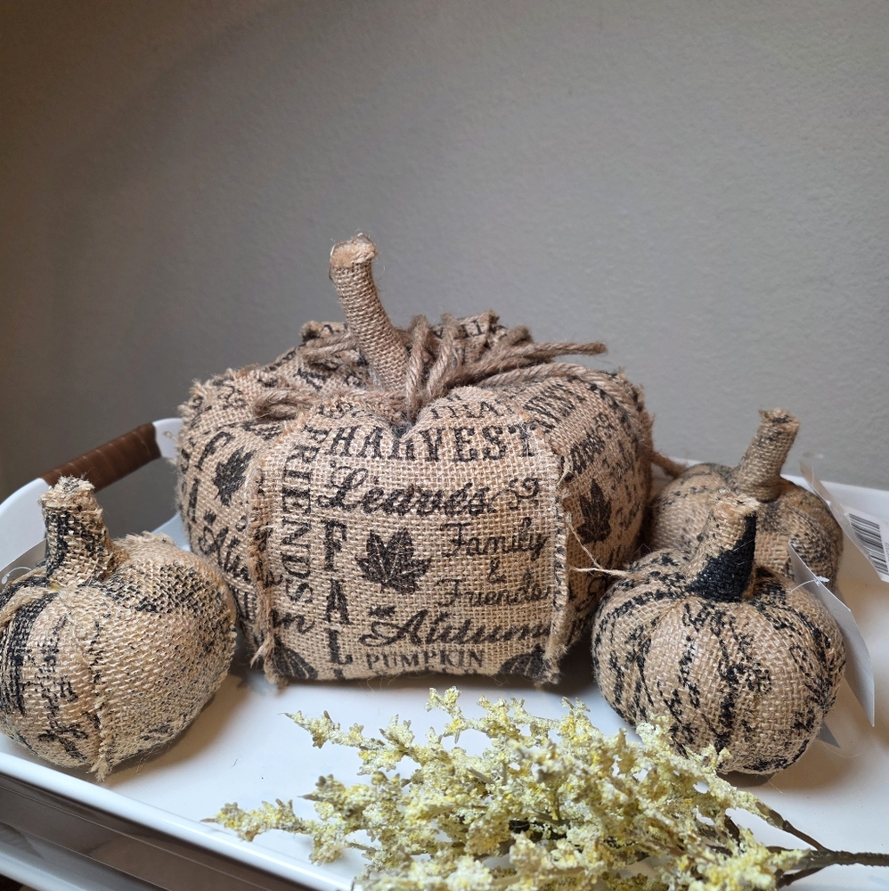 Nwt Rustic Burlap Graphic Pumpkins 3 Pc Set Words Harvest Autumn Family Friends